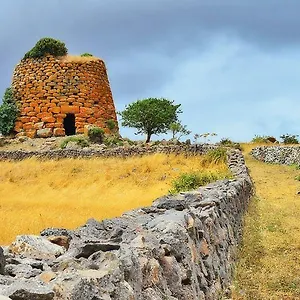 Le Mimose Arborea